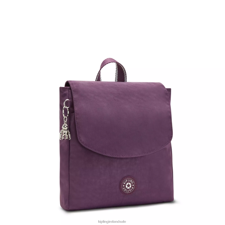Fashion Backpacks Endless Plum Dannie Small Backpack Women Kipling J6TNX394