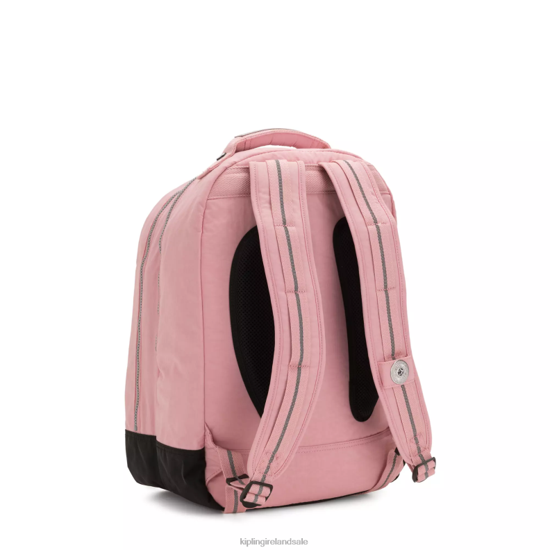 Laptop Backpacks Bridal Rose Class Room 17\ Laptop Backpack Women Kipling J6TNX436