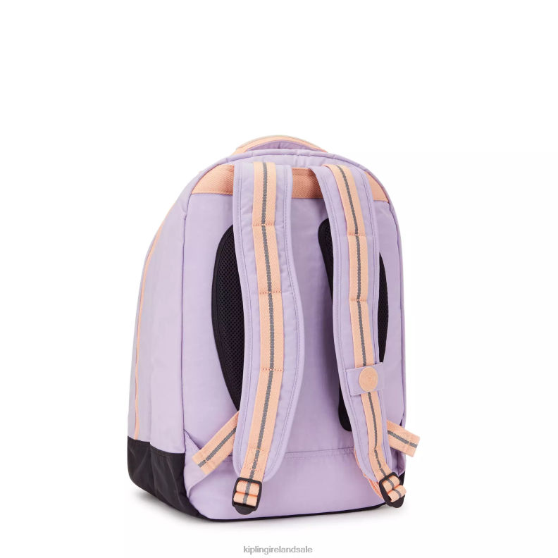 Laptop Backpacks Endless Lilac C Class Room 17\ Laptop Backpack Women Kipling J6TNX437