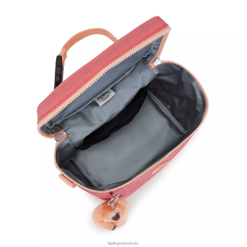 Lunch Bags Joyous Pink Graham Lunch Bag Women Kipling J6TNX653
