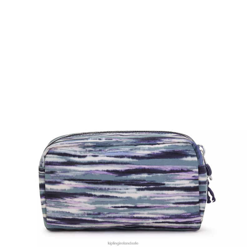 Pouches Brush Stripes Gleam Printed Pouch Women Kipling J6TNX528